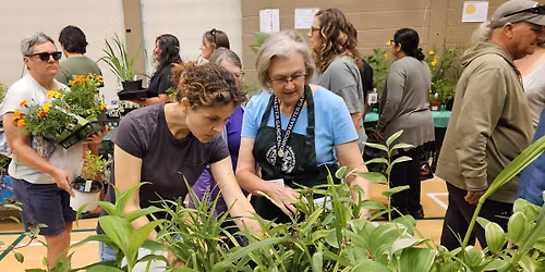 Pollinator Festival and Plant Sale