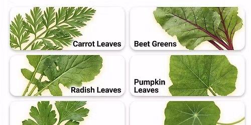 Grow to Know - Let's plant something.