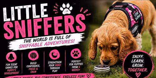 Puppy (LITTLE SNIFFERS) Course (4 weeks)