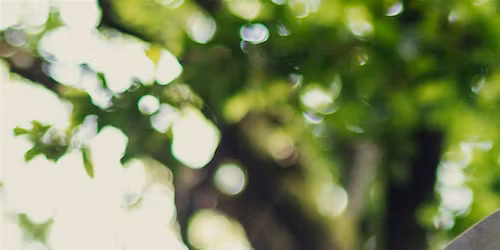 Gather at the Heartfire : Drumming Circle & Cacao Ceremony