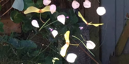 Reconnect! - Witch Workshop - Creative Spellmaking - Dreams and Charms