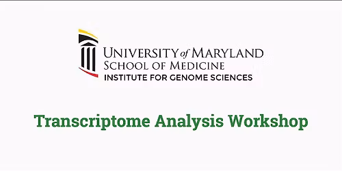 Transcriptome Analysis Workshop 2025