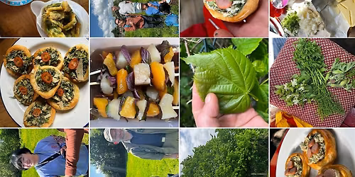 Spring Foraging With Tapas