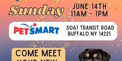 PetSmart Adoption Event - Buffalo