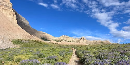 Backpacking Mount Timpanogos