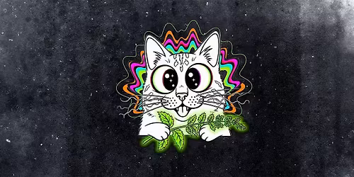 Comedy Catnip