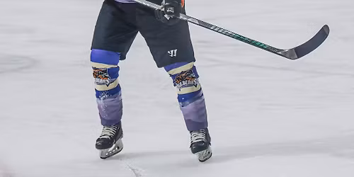 Pensacola Ice Flyers at Knoxville Ice Bears at Knoxville Civic Coliseum