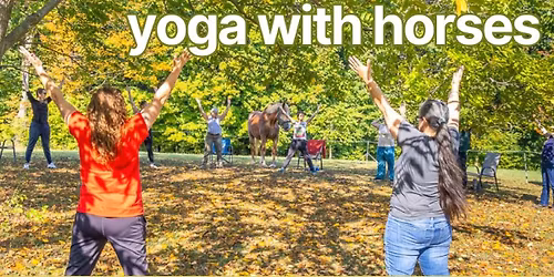 Yoga With Horses on Tuesday Night