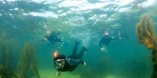 Marine Recorders Evening 2025