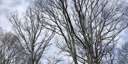 CRC Winter Chapter Hike -- Little Light Challenge