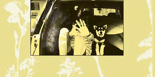 Throwing Muses at Harlow's