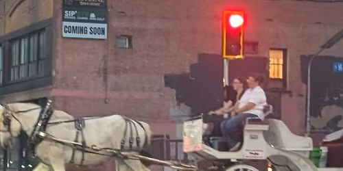 Ban Horse Carriages Dallas