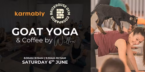 Goat Yoga Brisbane!!