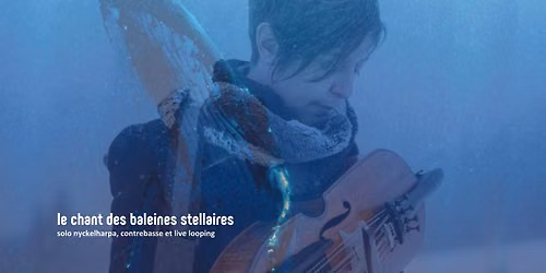 voyage sonore le chant des baleines stellaires \ud83d\udc33\ud83d\udc33\ud83d\udc33\u2728 - une immersion en lien avec les baleines