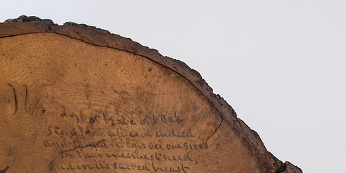 Curator Talk | Framing American Democracy: Radical Roots 