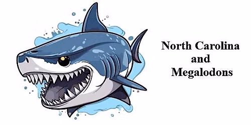 Babies - 7 year olds: North Carolina and Megalodons