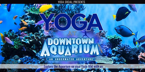 Yoga at the Downtown Aquarium in Denver with Yoga Social