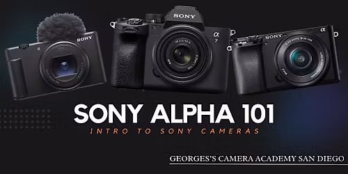 Sony Alpha 101: Getting To Know Your Mirrorless Camera