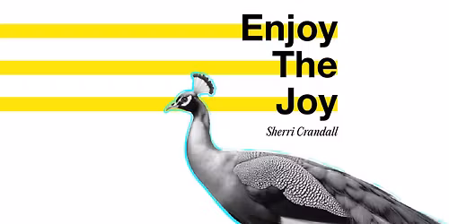 Enjoy the Joy