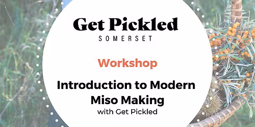 Introduction to Modern Miso Making