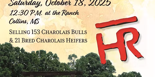 2025 Rogers Bar HR Fall Charolais Bull Sale
