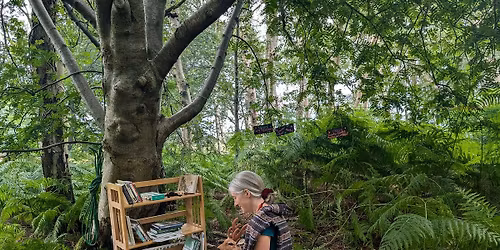 Forest School Level 3 Spring Training with Kinda Education