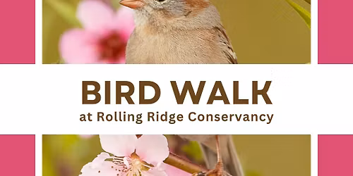 Rolling Ridge Conservancy Bird Walk