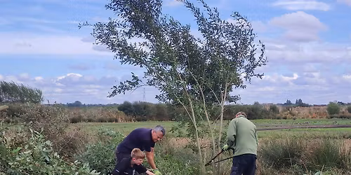 Conservation Volunteering Day at Lunt Meadows