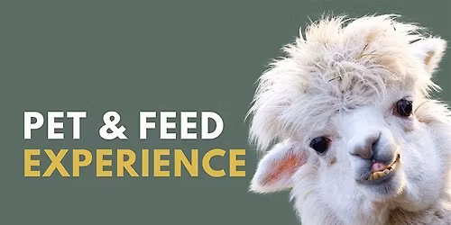 Pet and Feed Experience - Merrifield