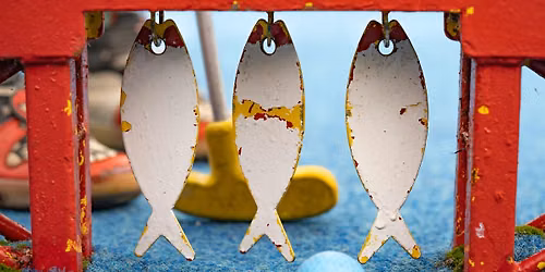 Home Education 7-10: Creative Perspective Photography Workshop