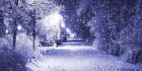 Christmas Memorial Service 2025