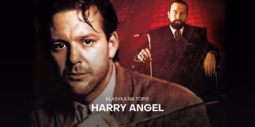 HARRY ANGEL [4K] I Klasyka na TOPie