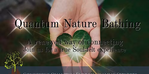 Fall Nature Bathing Walk & Meditation