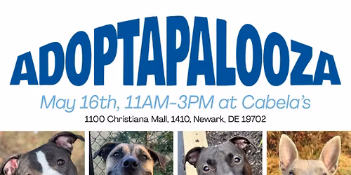 Adoptapolooza