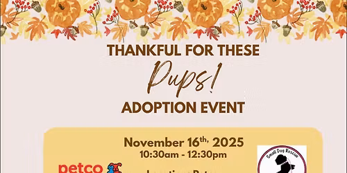 Dog Adoption Event