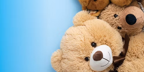 Stuffed Animal Sleepover