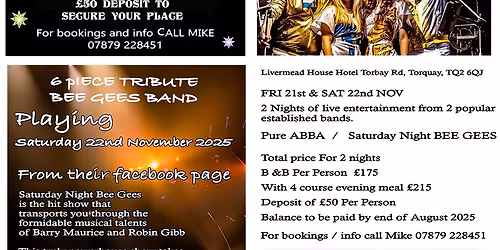 2days w\/end\/ abba\/ bee gees, top tribute bands in hotel\/ accomodation