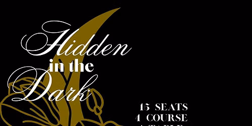 Hidden in the Dark