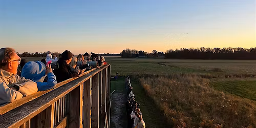 Sandhill Cranes at Sunset: A bus trip to Jasper Pulaski.