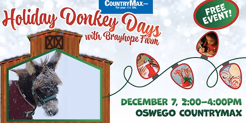 Holiday Donkey Days with Brayhope Farm