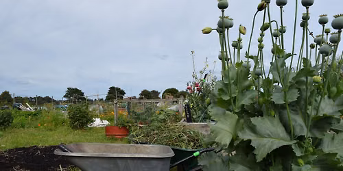 A Weekend Introduction to Growing Your Own Food