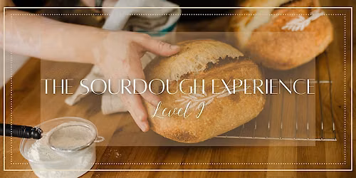 Sourdough Workshop