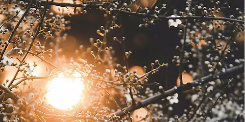 Light Within: A Winter Solstice Rest & Sound Ritual