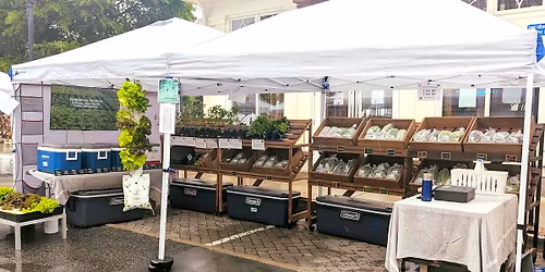 White County Farmers Market