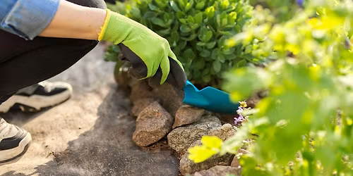 Workshop: Gardening 101 (La Miranda)
