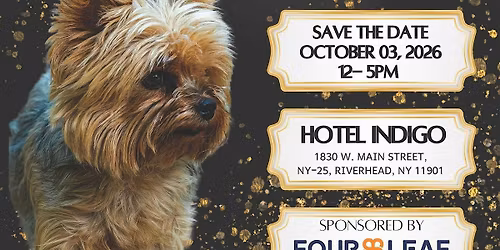 RESCUES ROCK THE RUNWAY