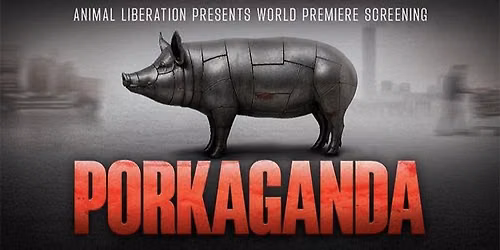 Porkaganda | Sunday 1 November