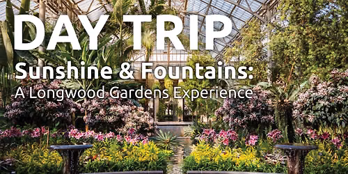 Sunshine & Fountains: A Longwood Gardens Experience