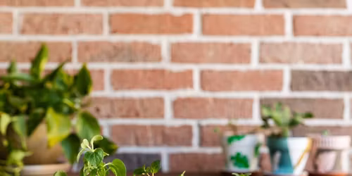 Paint & Plant with NMC Staff 