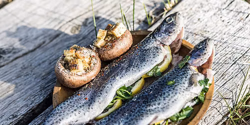 Thementage "Fisch"